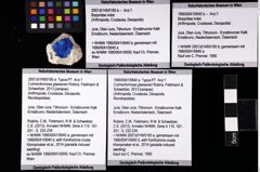 Foto (Objket + Etiketten) von Bopyridae indet. 